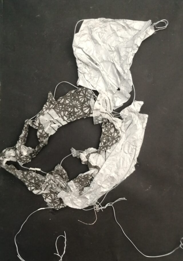 Susanna Marijs Try to Fly