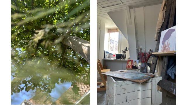 Onder de appelboom en studio met poes